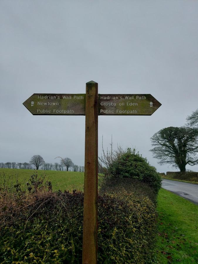 Hadrians Wall Studio Carlisle  Luaran gambar